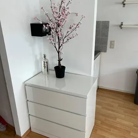 Kleines Apartment Im Zentrum Von Wuerzburg Buitenkant foto