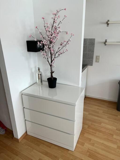 Kleines Im Zentrum Von